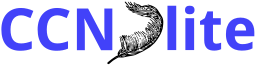 CCN-lite logo (text with a feather)